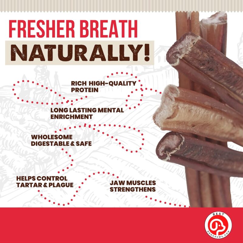 Thin Bully Sticks for Dogs 100% Natural Delicious And Protein Rich Keep Your Dog Busy With Chews And Treats Fully Digestible-Great For Dental Health-For All Breed Sizes-6 inch(12 Count) - Image 7