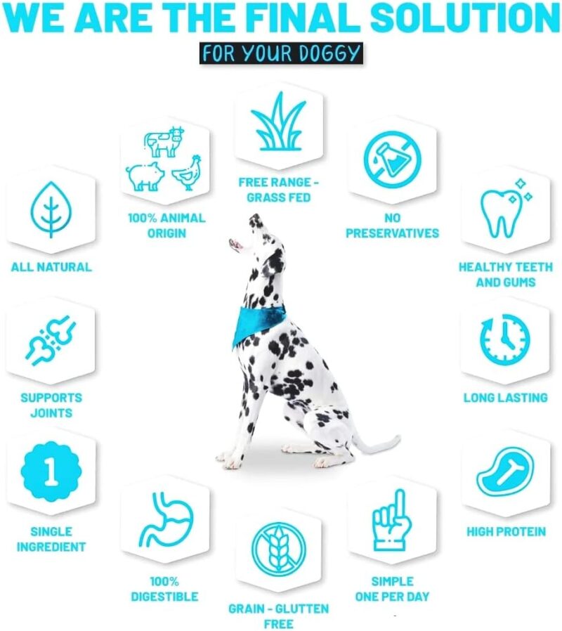 Bully Sticks 6" inch (8 oz) Treats Promotes Dental Health All-Natural Premium Dog Chew Natural Bully Sticks Grain-Free, Single-Ingredient. - Image 6