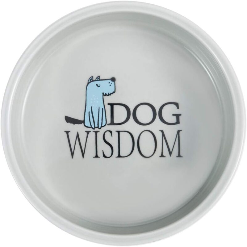 5-inch Ceramic Dog Bowl Cartoon Pattern, Cute, Chew-Proof, Dishwasher and Microwave Safe - Image 3