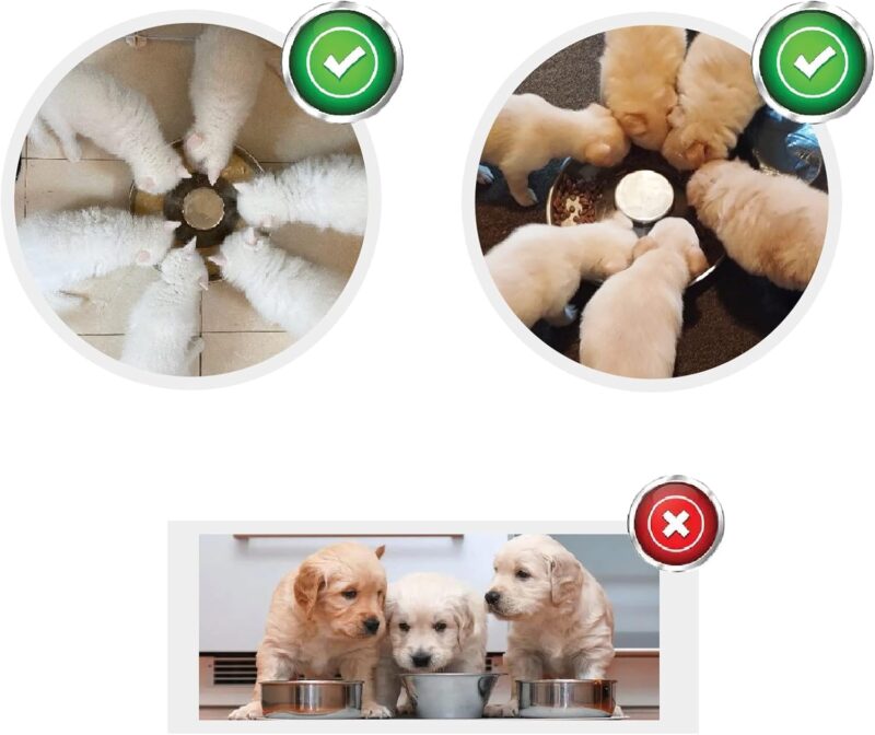 Puppy Dog Bowl, Stainless Steel Multiple Puppies Feeder, Dogs Basic Food and Water Bowls Weaning Dish for Small, Medium and Large Dogs Pets - Image 4