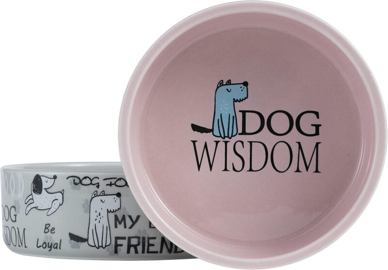 5-inch Ceramic Dog Bowl Cartoon Pattern, Cute, Chew-Proof, Dishwasher and Microwave Safe - Image 5