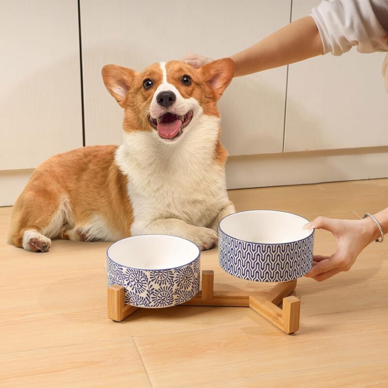 Selamica Ceramic 14 OZ Dog Bowls, Dog Food and Water Bowls with Wooden Stand, Anti-Slip Dog Dishes Set for Cats & Small Dogs, Weighted Pet Bowls Set of 2, Vintage Blue B - Image 7