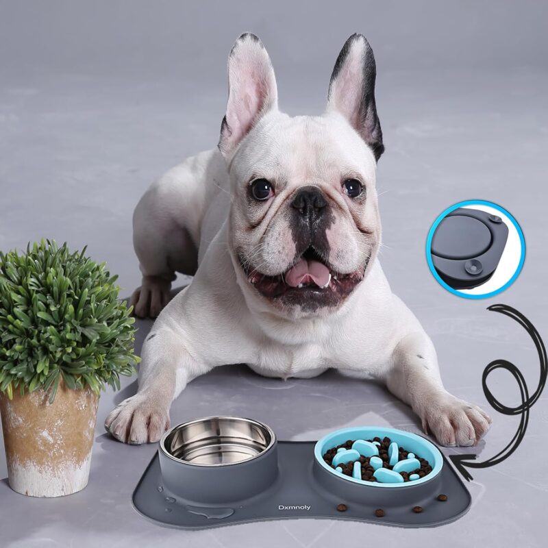 Slow Feeder Dog Bowls Anti-Choking Puzzle Food Bowl Anti-Slip Interactive Slow Feeding Dishes, Bloat Stop Maze Slow Feeding Dog Bowl with Silicone Mat for Medium Small Dogs or Pet, Grey - Image 8