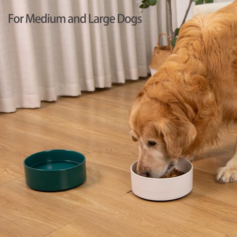 Non-Slip Dog Bowls, Ceramic Dog Food Bowl with Silicone Base, 8" Large Dog Water Bowl No Spill, Weighted Flip-Proof Pet Feeding Bowl for Medium Dogs and Large Breed (Green) - Image 5