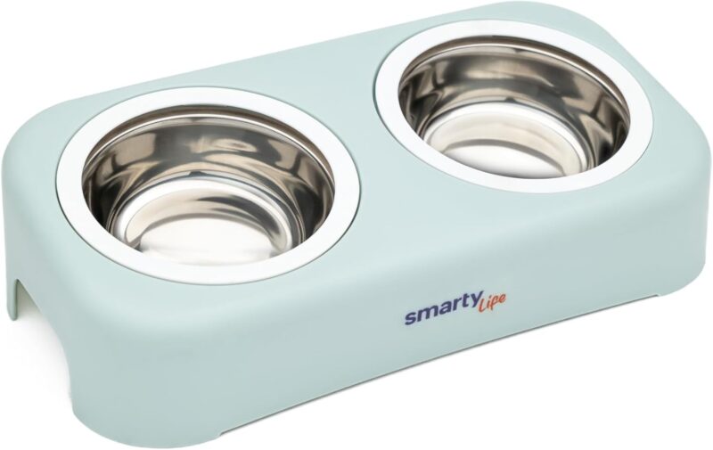 Raised Cat and Dog Feeding Bowls - Easy-to-Clean Stainless Steel Pet Feeding Bowl - Water and Food Feeder Bowls for Feeding Small Medium Large Dogs Cats Puppies - Pet Care Essentials
