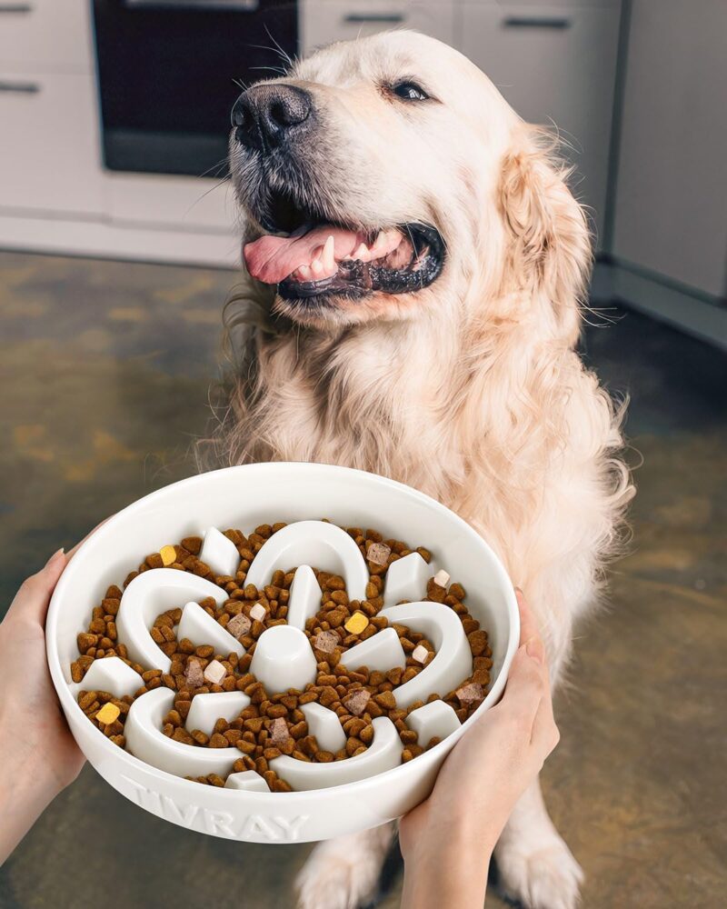 Ceramic Slow Feeder Dog Bowls, 2.5 Cups Dog Slow Feeder Bowl, Puzzle Dog Food Bowls Slow Feeder Maze Dog Bowl for Fast Eaters Slow Feeding Dog Bowl Medium & Large Breed Prevents Choking, White - Image 8