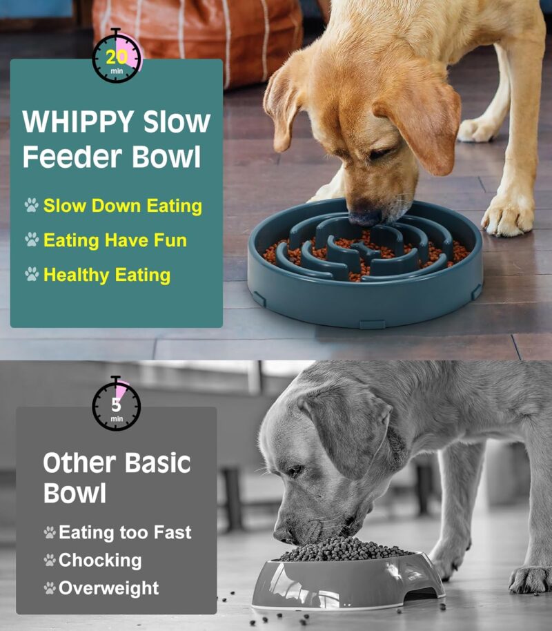 WHIPPY Large Slow Feeder Dog Bowls for Large Medium Dogs Anti-Chocking Slow Feeding Maze Dog Food Bowl Slow Eating Interactive Bloat Stop Puzzle Bowl,Blue - Image 5