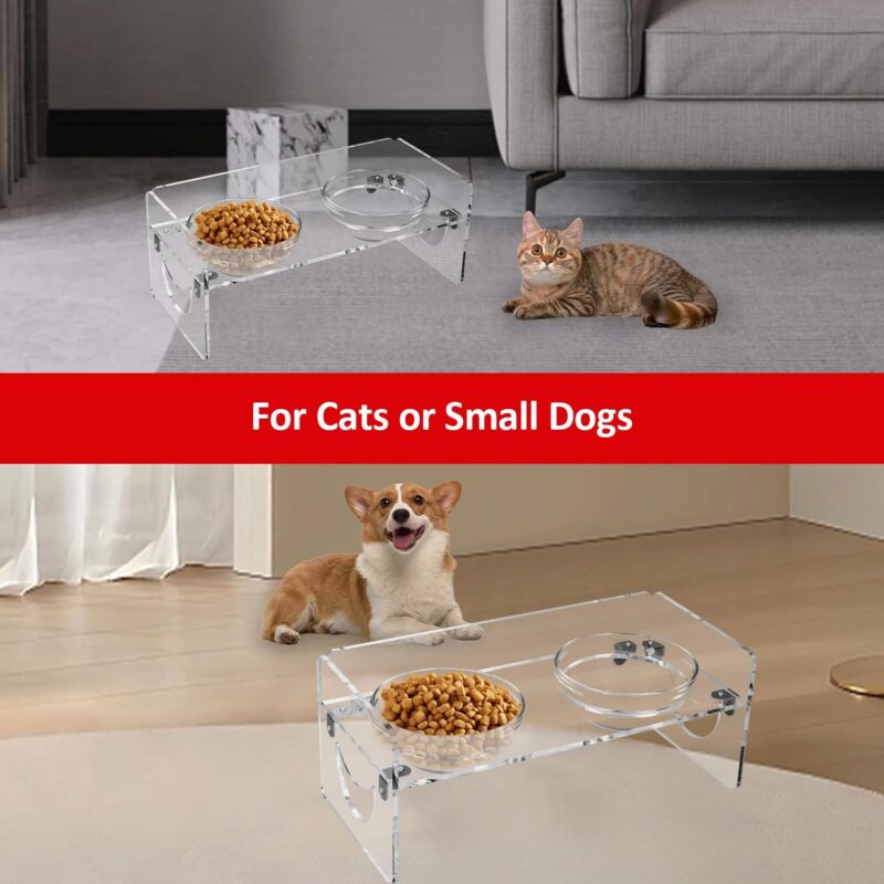 Acrylic Dog Bowls Elevated for Small Dogs or Cats, 2 Set Removable Glass Bowls, Raised Cute Pet Feeder Station Set Holder for Food and Water, 3.7" Tall & 13.4oz for Less Than 17lbs or 15" Pet - Image 3