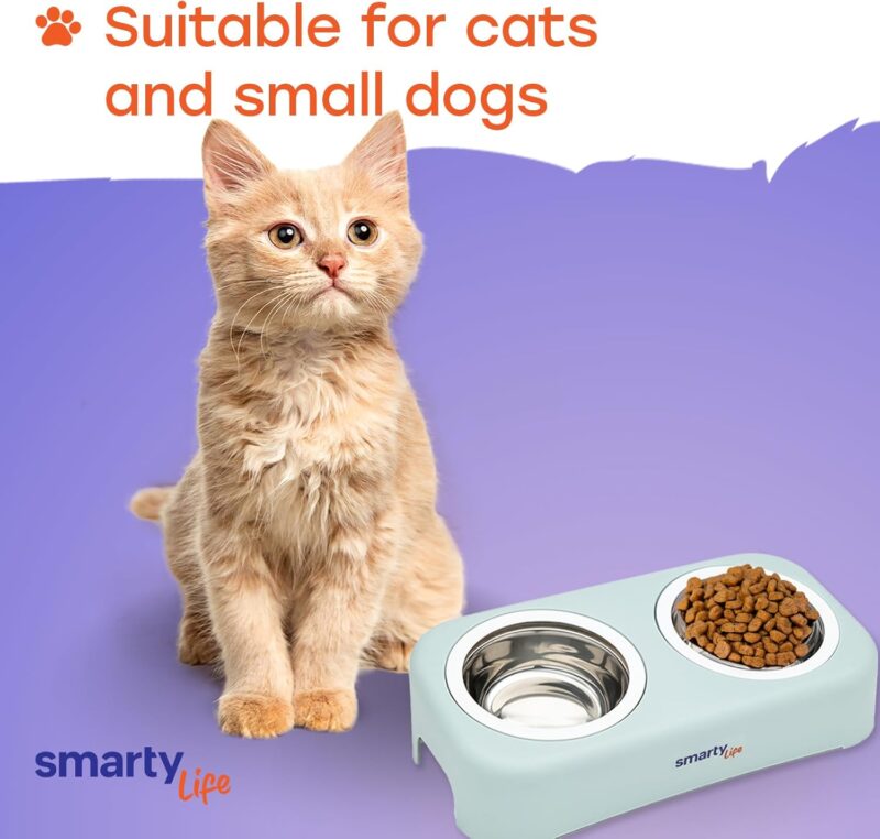 Raised Cat and Dog Feeding Bowls - Easy-to-Clean Stainless Steel Pet Feeding Bowl - Water and Food Feeder Bowls for Feeding Small Medium Large Dogs Cats Puppies - Pet Care Essentials - Image 2