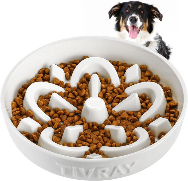 Ceramic Slow Feeder Dog Bowls, 2.5 Cups Dog Slow Feeder Bowl, Puzzle Dog Food Bowls Slow Feeder Maze Dog Bowl for Fast Eaters Slow Feeding Dog Bowl Medium & Large Breed Prevents Choking, White