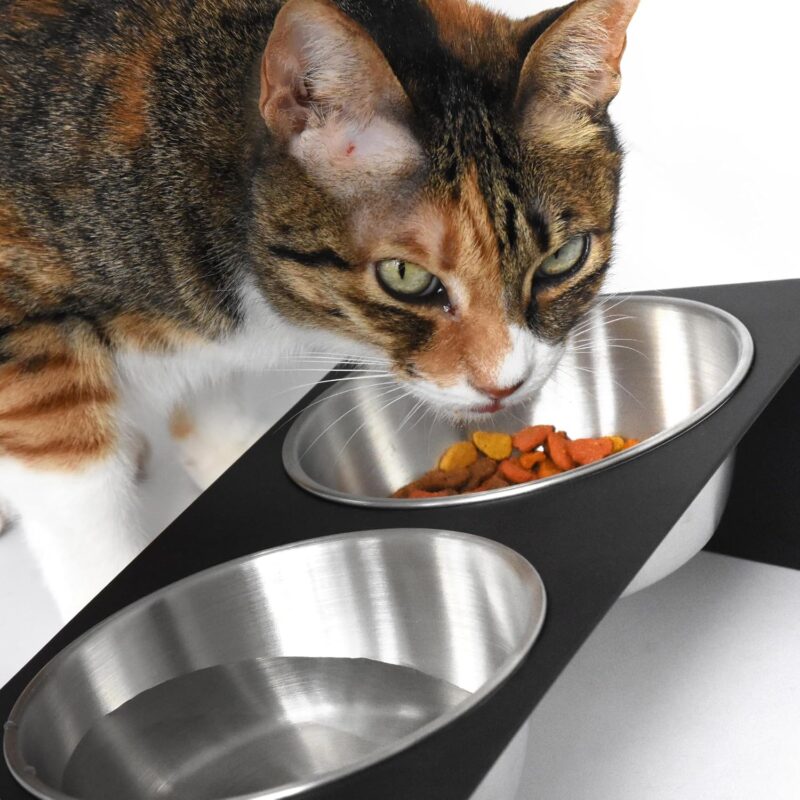 Elevated Pet Bowl, for Cats and Small Dogs - Image 3