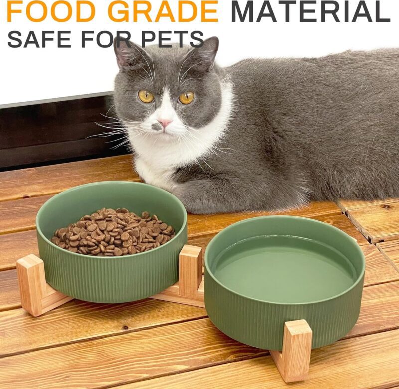 Ptlom Ceramic Pet Bowls for Dog and Cat, No Spill Dog Food and Water Bowl Set with Anti-Slip Wooden Stand, Riased Puppy Feeding Dishes Suitable for Small, Medium and Large Cats Dogs, Green 28 OZ - Image 3