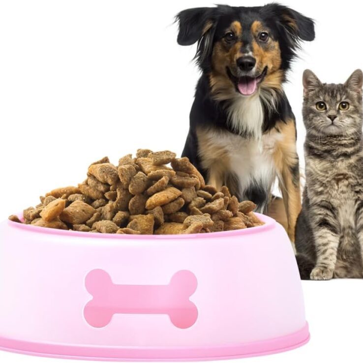 Noa Store Non-Slip Plastic Dog Bowls - Non-Spill Feeding Station for Small to Medium Dogs - Durable Feeder for Puppies, Cat, Dog - Pet Food and Watering Supplies Accessories - Pink