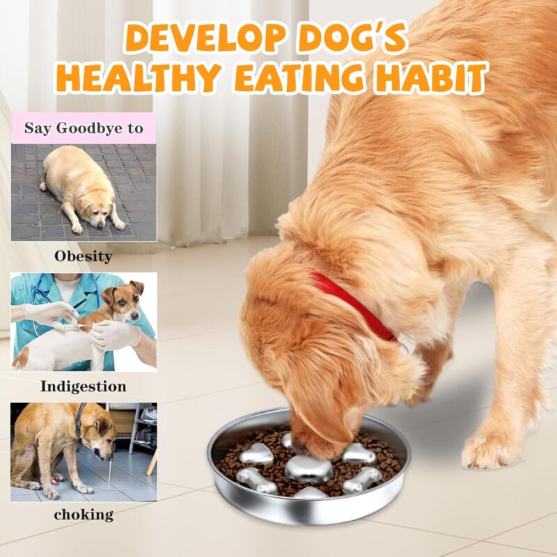 Slow Feeder Dog Bowls, Non-Slip Metal Dog Food Bowls, 304 Stainless Steel Dog Water Bowl, Double-Sided Heart and Bones Design Dog Slow Feeder Bowl for Small Medium Large Dogs - Image 3