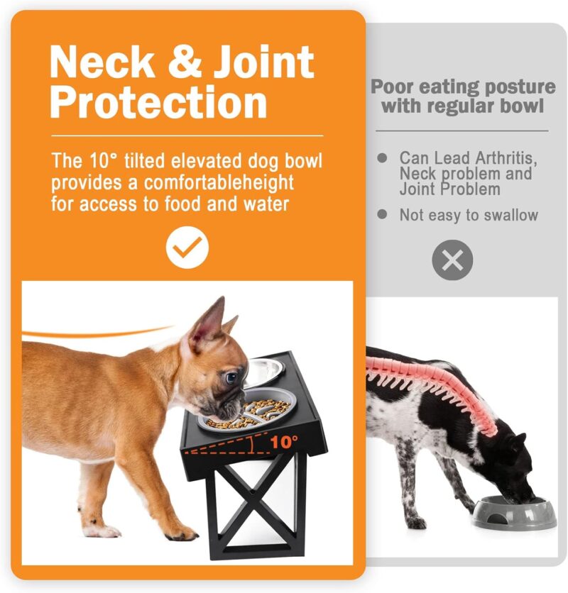 MADDEMCUTE Dog Bowl Stand with Mat 3 Adjustable Heights,10° Tilted Elevated Dog Bowls with 1 Slow Feeder Dog Bowl & 2 Stainless Steel Dog Bowls for Small Medium Large Breed - Image 4