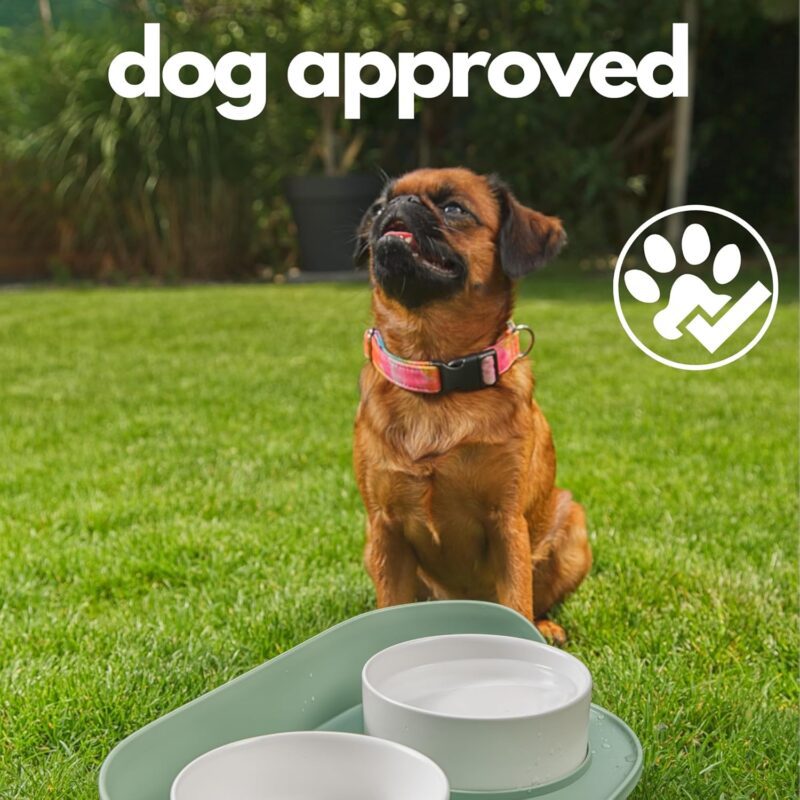 A4DOG Ceramic Dog Bowls with Stand - Elevated Dog Water and Food Bowl Set 13.5oz Cat & Dog Feeding Station Spill Proof Splash Proof Raised Pet Food Bowls for Dogs, No Mess Pet Feeder - Green - Image 9