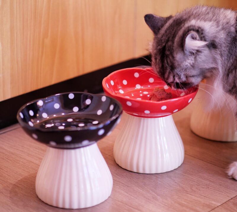 Mushroom Raised Cat Bowl, Cute Polka Dot Safety Ceramic Elevated Cat Bowl. Food Water Bowls for Cat, Small Dog. (Red) - Image 5