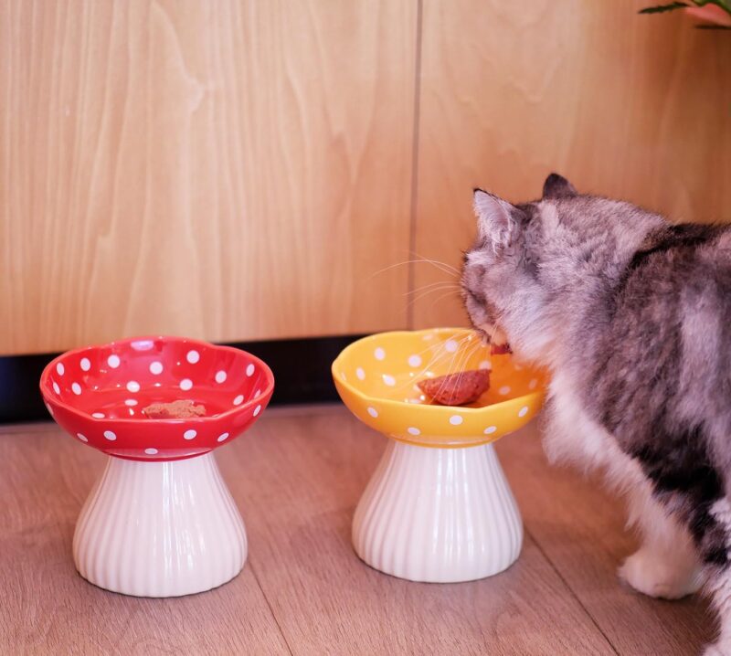 Mushroom Raised Cat Bowl, Cute Polka Dot Safety Ceramic Elevated Cat Bowl. Food Water Bowls for Cat, Small Dog. (Red) - Image 6