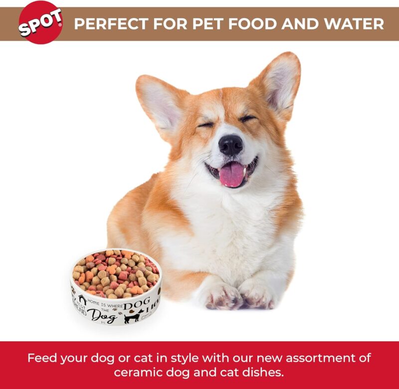 SPOT I Love Dogs Dish -Round Ceramic Food/Water Bowl with High Walls for Pets, Dishwasher Safe, Ideal for Small Dogs, Cats, Reptiles, Large Birds, 5in, 1.75 Cup (14oz) - Image 2