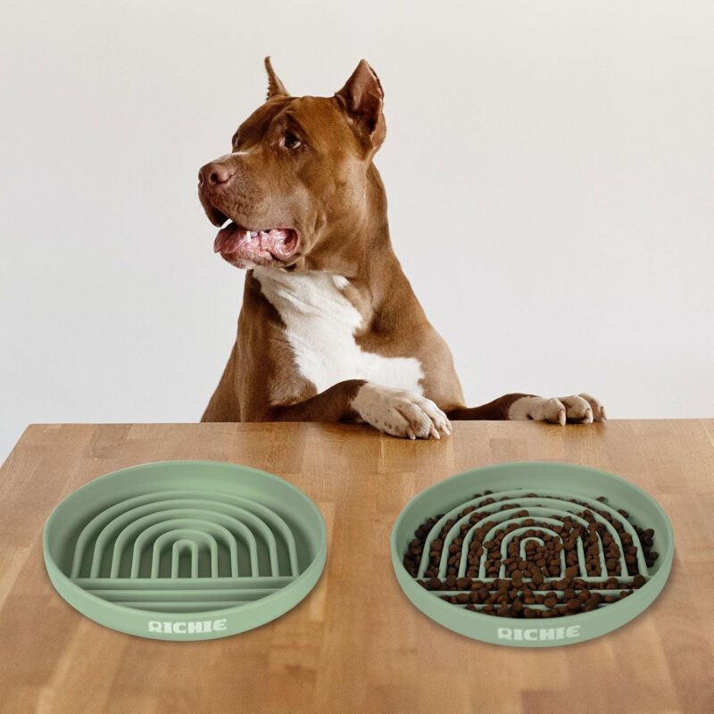 RICHIE Slow Feeder Dog Bowls with Suction Cups, Silicone Puzzle Bowl for Slow Eating, Pets Slow Feeder Non-Slip Design Dishwasher Microwave Safe for Small Medium Dogs, Green - Image 6