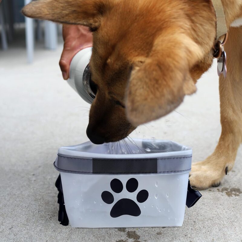 rezip Clip N' Go Pet Bowl 2-Pack | Collapsible Portable Dog Food Storage Bag and Feeding/Water Bowl | BPA-Free, Food Grade, Leakproof | Reusable, Machine Washable (Clear) - Image 2