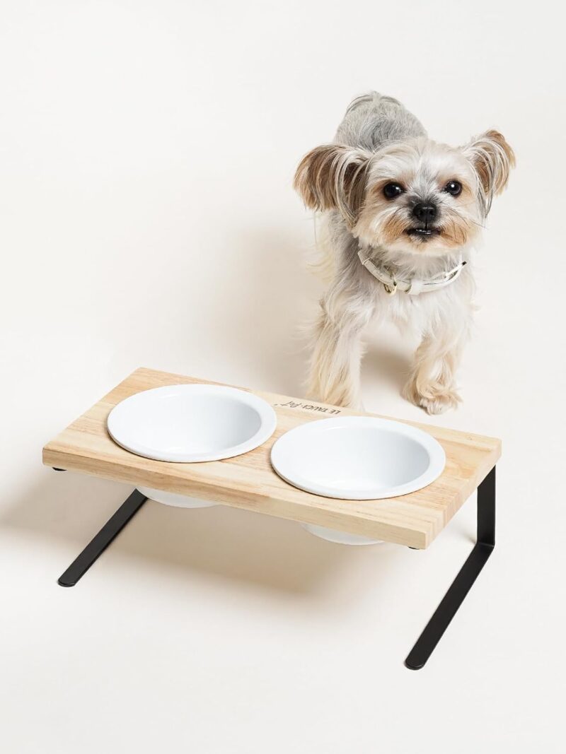 Elevated Dog Bowls, Raised Dog Bowl Stand with Two 5.1 inch Ceramic Cat Food Bowls, Non-Slip Dog Food and Water Bowls, Dog Feeder for Small and Medium Breed, White - Image 6