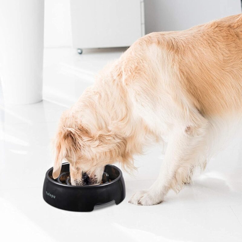 Large Slow Feeder Dog Bowls,Hold 8 Cups,Stop Bloat Bowl Anti-Choking &Anti-Gulping & Fun Feeding Bowl (Large, Black) - Image 5