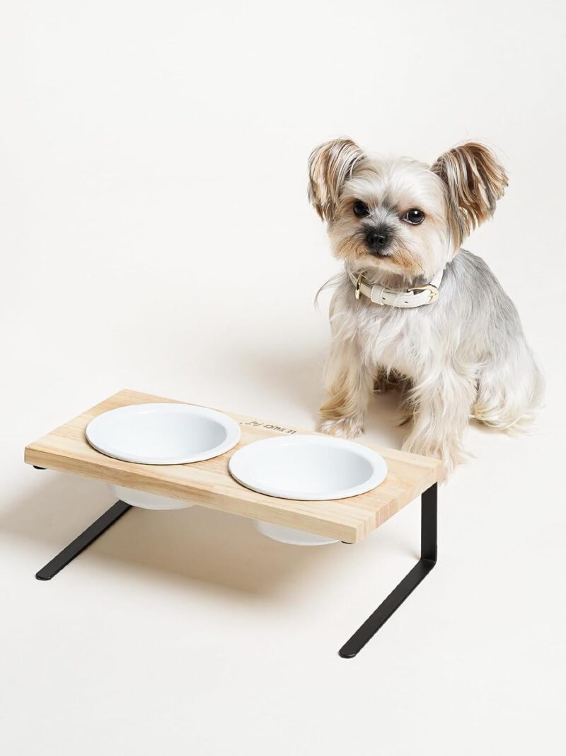 Elevated Dog Bowls, Raised Dog Bowl Stand with Two 5.1 inch Ceramic Cat Food Bowls, Non-Slip Dog Food and Water Bowls, Dog Feeder for Small and Medium Breed, White - Image 5