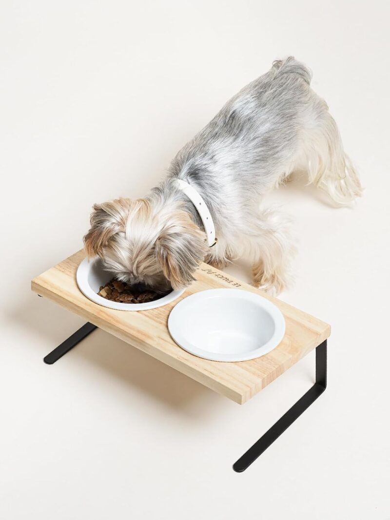 Elevated Dog Bowls, Raised Dog Bowl Stand with Two 5.1 inch Ceramic Cat Food Bowls, Non-Slip Dog Food and Water Bowls, Dog Feeder for Small and Medium Breed, White - Image 2