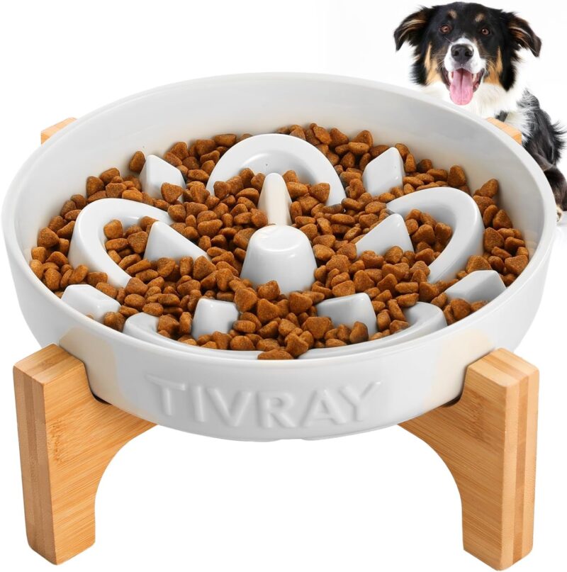 Ceramic Slow Feeder Dog Bowls, 2.5 Cups Dog Slow Feeder Bowl with Stand, Raised Dog Bowl Slow Feeder for Medium & Large Dogs - Bloat Stop Prevent Choking Maze Dog Feeding Bowl for Fast Eater