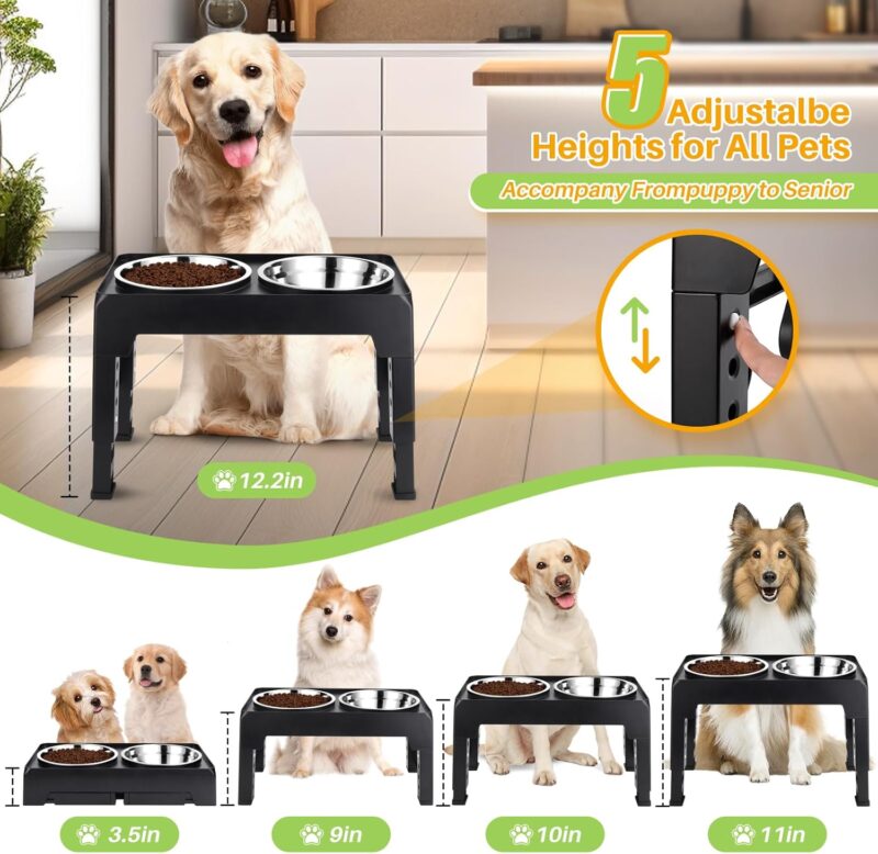 Elevated Dog Bowls, with 2 Stainless Steel Dog Food Bowls 5 Heights Adjustable Raised Dog Bowl Stand Non-Slip Dog Dish Feeder Adjusts to 3.5", 9", 10", 11", 12.25" Tall for Medium Large Dogs - Image 2