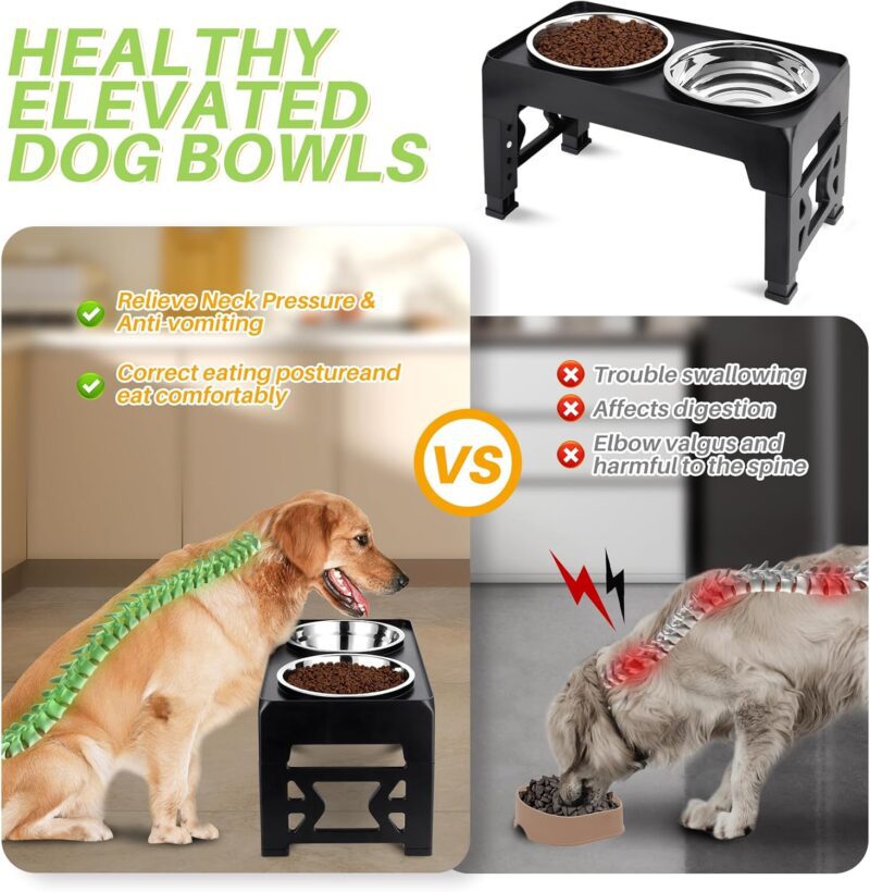 Elevated Dog Bowls, with 2 Stainless Steel Dog Food Bowls 5 Heights Adjustable Raised Dog Bowl Stand Non-Slip Dog Dish Feeder Adjusts to 3.5", 9", 10", 11", 12.25" Tall for Medium Large Dogs - Image 3