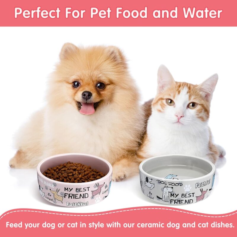 Maxcheck 2 Pcs 5 Inch Ceramic Dog Bowl Cartoon Pattern Cat Bowl Dog Food Bowls Cute Heavy Dog Water Bowl Durable Dog Dishes for Small Dogs Pets Feeding Travel, Dishwasher Safe and Microwave Safe - Image 5