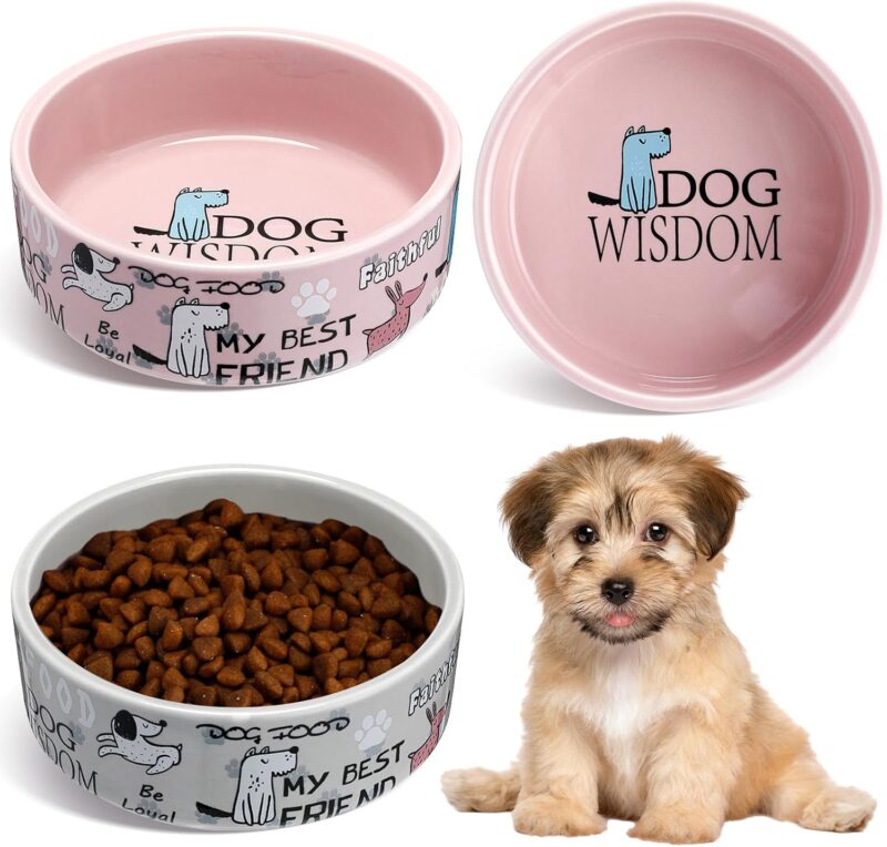 Maxcheck 2 Pcs 5 Inch Ceramic Dog Bowl Cartoon Pattern Cat Bowl Dog Food Bowls Cute Heavy Dog Water Bowl Durable Dog Dishes for Small Dogs Pets Feeding Travel, Dishwasher Safe and Microwave Safe