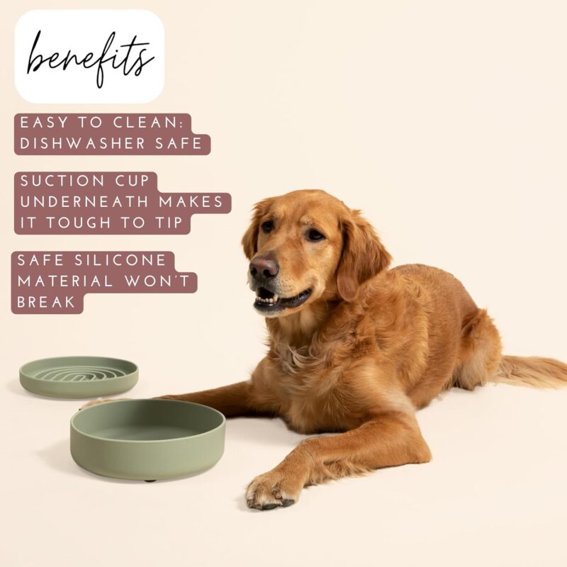 The Perfect Dish - Durable Dog Water Bowl - No Spill - Less Mess Non-Tippable Water & Food Bowl, Pure Silicone, Spill Proof with Suction Cup, Suitable for All Pets, Medium-Sage - Image 2