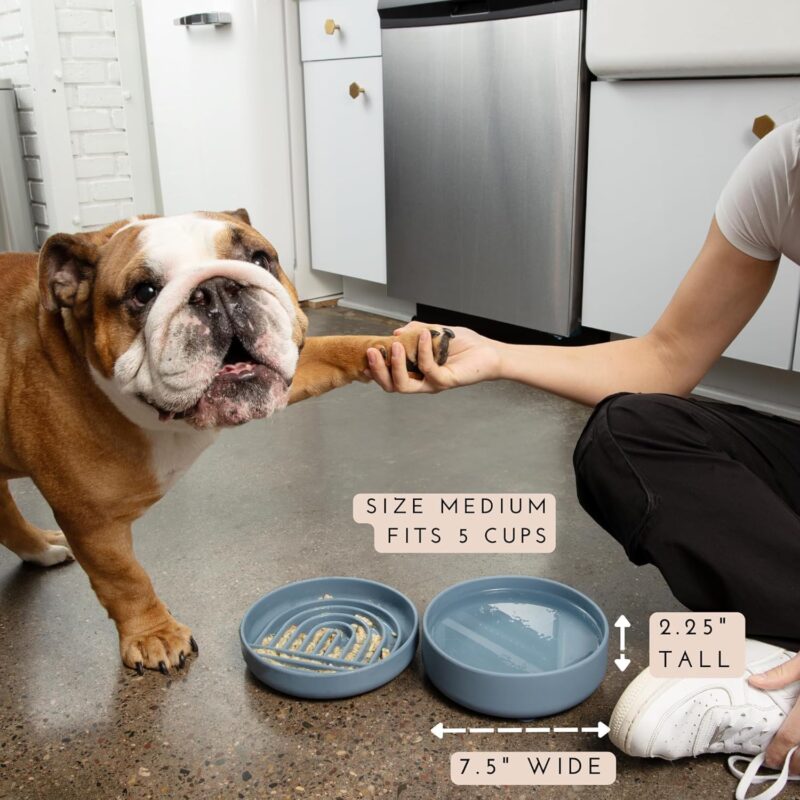 The Perfect Dish - Durable Dog Water Bowl - No Spill - Less Mess Non-Tippable Water & Food Bowl, Pure Silicone, Spill Proof with Suction Cup, Suitable for All Pets, Medium-Sage - Image 3