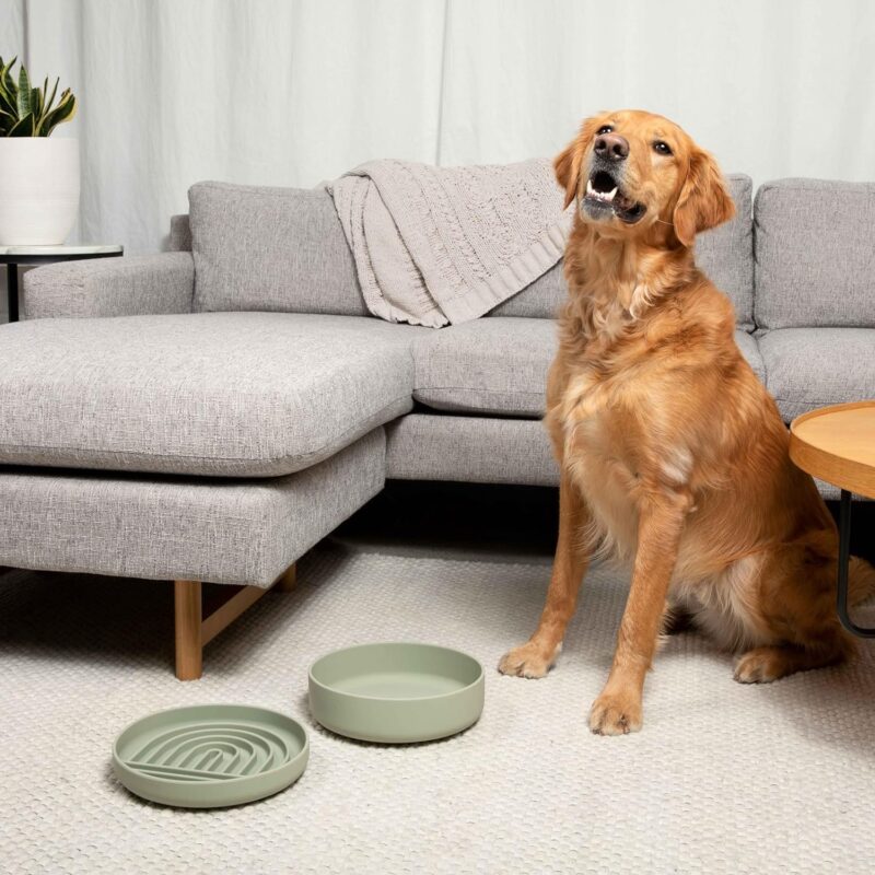 The Perfect Dish - Durable Dog Water Bowl - No Spill - Less Mess Non-Tippable Water & Food Bowl, Pure Silicone, Spill Proof with Suction Cup, Suitable for All Pets, Medium-Sage - Image 5