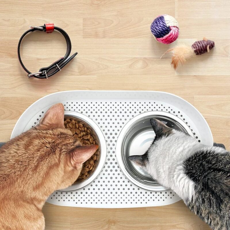 All for Paws Height Adjustable Cat Elevated Bowls Stainless Steel Dog Food Water Bowls, Height Adjustable Cat Feeder Mess Proof Pet Feeding Bowls for Small to Large Size Cats - Image 7