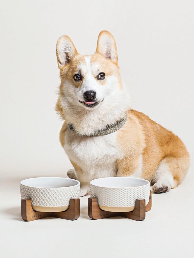 LE TAUCI Ceramic Dog Bowls, 4 Cups Food and Water Bowl for Small Medium Sized Dogs, Dog Feeding Bowls with Wood Stand, Cute Pet Bowls, Dog Dishes, Set of 2, Rhombus+Wave - Image 5