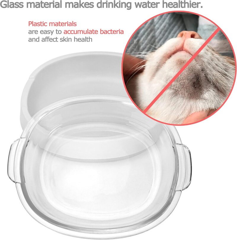 Small Glass Cat Food Bowls, Shallow Water Bowl for Cats Kitties Puppy and Small Dogs,Transparent Pet Feeding Bowl, Promotes Pet Hydration, Durable and Stable Design,Protect Pet's Spine,Dishwasher Safe - Image 5