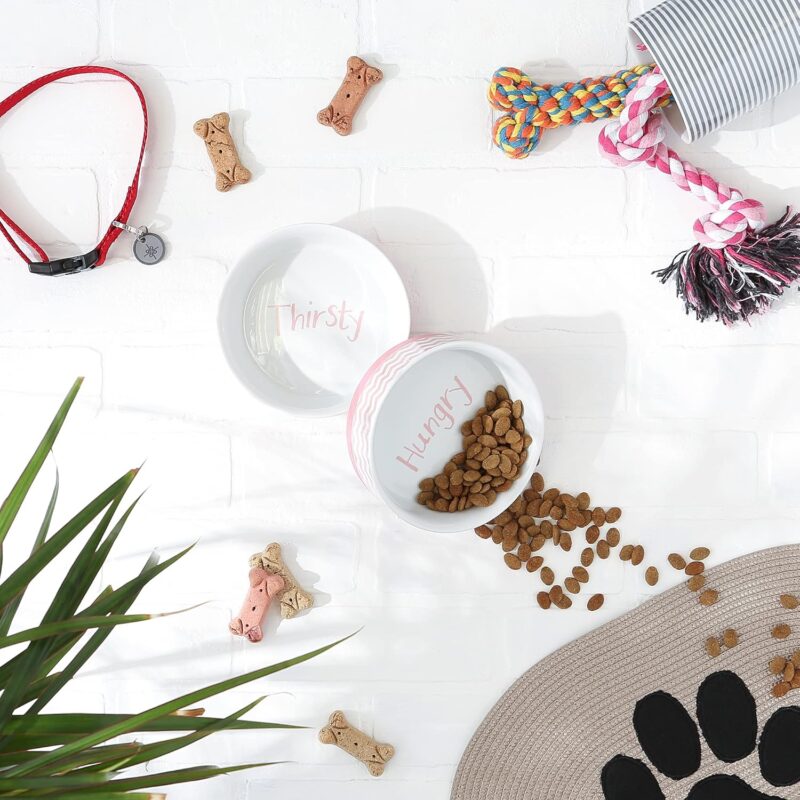Bone Dry Ceramic Pet Collection Chevron, Medium Set, 6x2, Pink, 2 Piece - Image 3