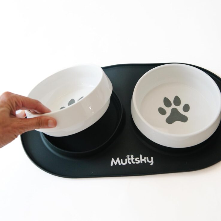 Non-Slip Ceramic Dog/Cat Bowls(26 Ounce)