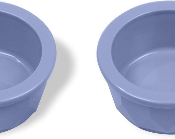 Van Ness 2 Pack of Crock Heavyweight Dish, Small, Food and Water Bowls for Dogs and Cats, Assorted Colors