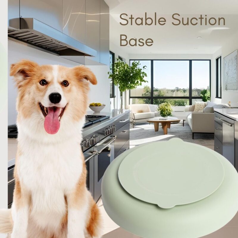 Modern Rainbow Pet Slow Feeder Bowl, Silicone Slow Feeder for Dogs & Puppies, Slow Eating, Modern Lick Mat Design, Reduces Gulping, Dishwasher Fit, for All Breed, Durable Mealtime Puzzle (Slate) - Image 9