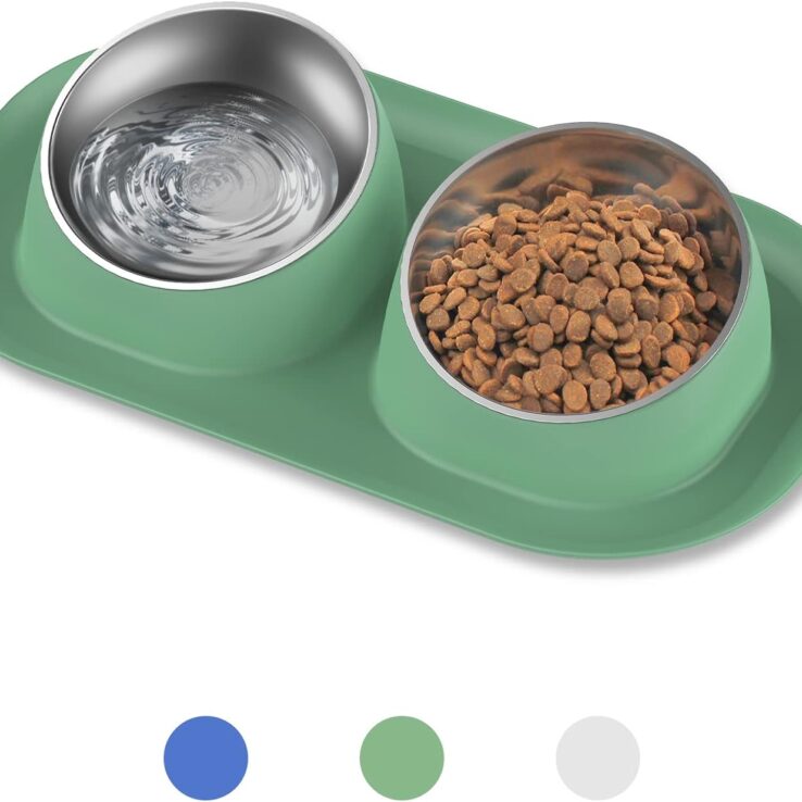 Dog Cat Basic Food and Water Bowl Set, 2 Removable Stainless Steel Feeding Bowls with Non-Slip Leak-Proof Plastic Stand Suitable for Small and Medium Pet Puppy Feeder Tableware Supplies, Green
