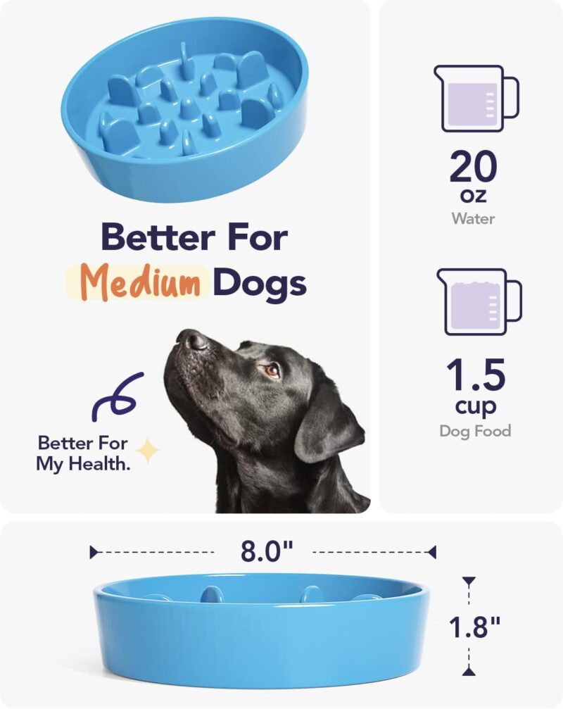 LE TAUCI PET Slow Feeder Dog Bowl Ceramic, 1.5 Cups, Blue, Non-slip Base - Image 3