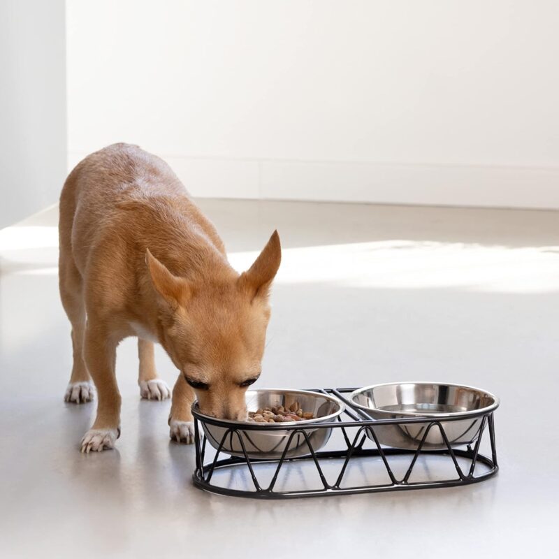 Navaris Stainless Steel Dog Bowls - Cat Food Bowls with Stand - Elevated Double Bowl and Holder for Cats & Small Dogs Raised Metal Wire Stand - Black - Image 3