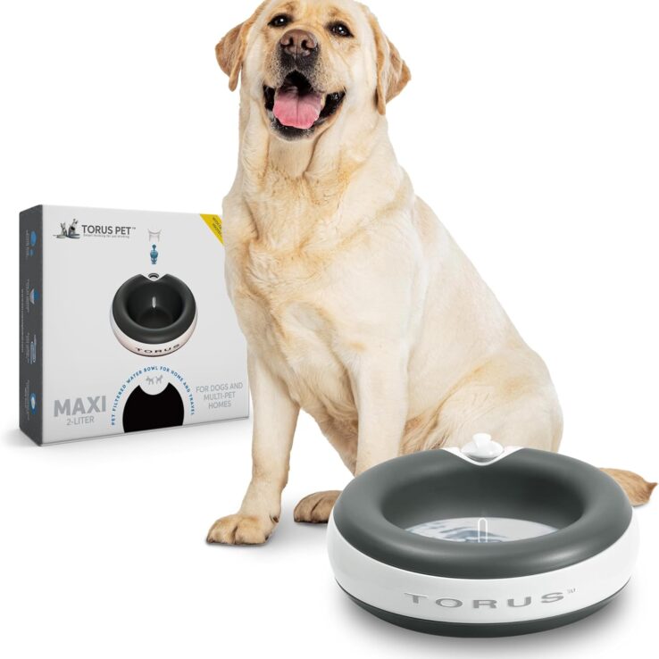 MAXI Filtered Water Bowl (Charcoal) - 2-Liter - Travel - Home - Auto-Fill - Portable Dispenser – Food Grade – Cleantech - BPA-Free - Dog – Cat – No Spill - No Splash