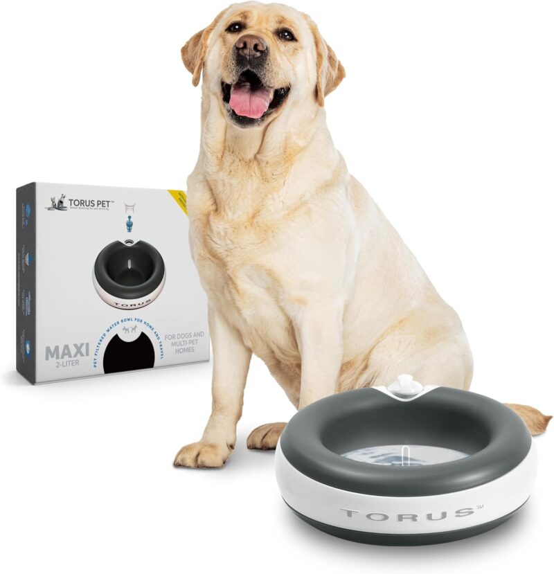MAXI Filtered Water Bowl (Charcoal) - 2-Liter - Travel - Home - Auto-Fill - Portable Dispenser – Food Grade – Cleantech - BPA-Free - Dog – Cat – No Spill - No Splash