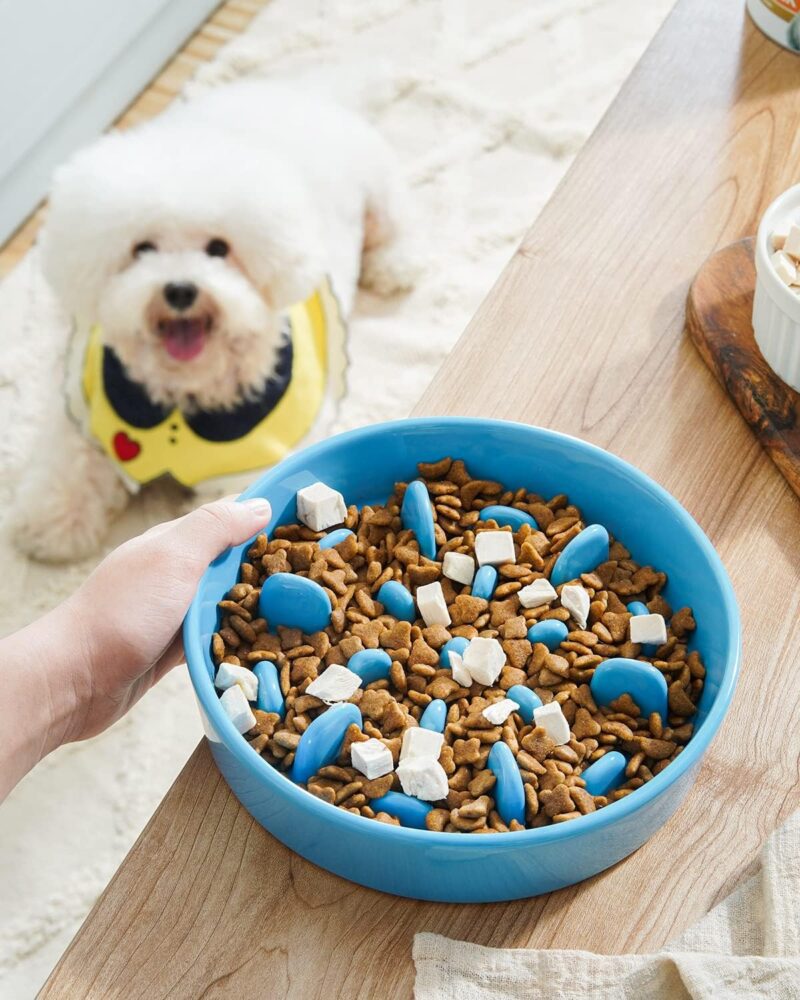 LE TAUCI PET Slow Feeder Dog Bowl Ceramic, 1.5 Cups, Blue, Non-slip Base - Image 2
